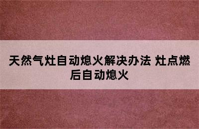 天然气灶自动熄火解决办法 灶点燃后自动熄火